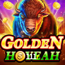 Experimente o Login Seguro Premium no 111r